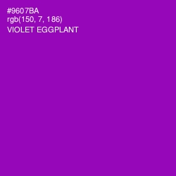 #9607BA - Violet Eggplant Color Image